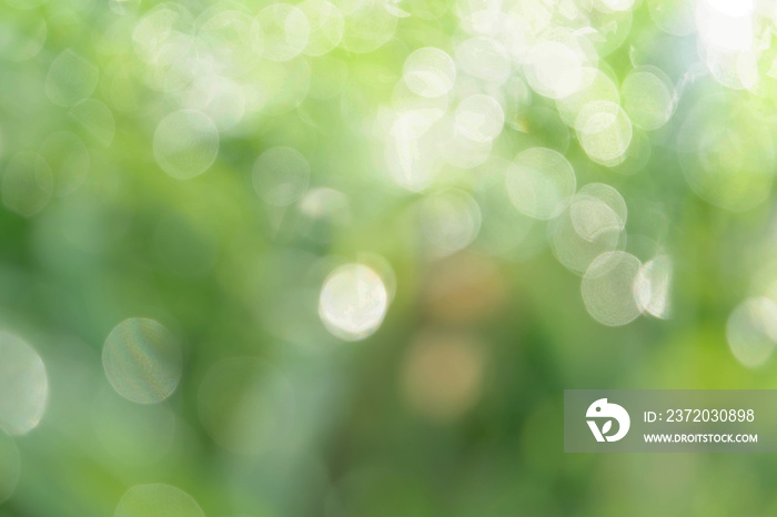 Green blurred bokeh background