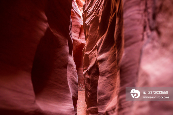 Spooky Gulch Slot Canyon in Grand Staircase Escalante National Monument