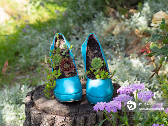 Worn out blue second hand stilettos / high heels upcycled into eco friendly planters / flowerbeds / 