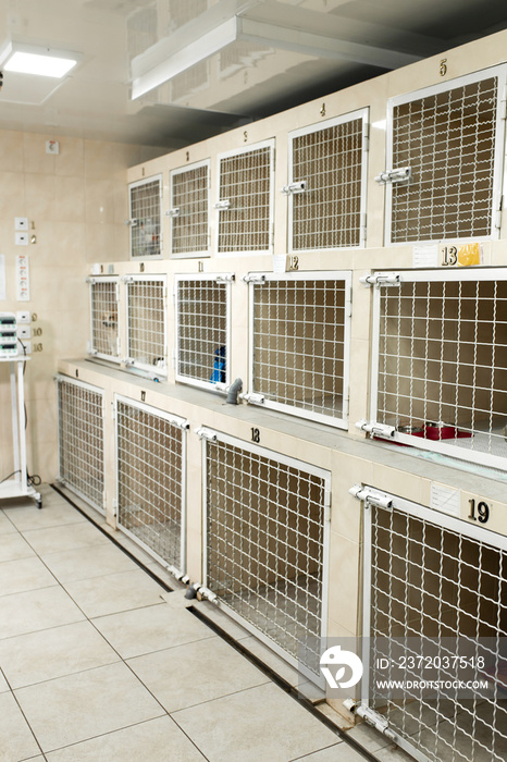用于患者的兽医医院细胞。宠物保健概念