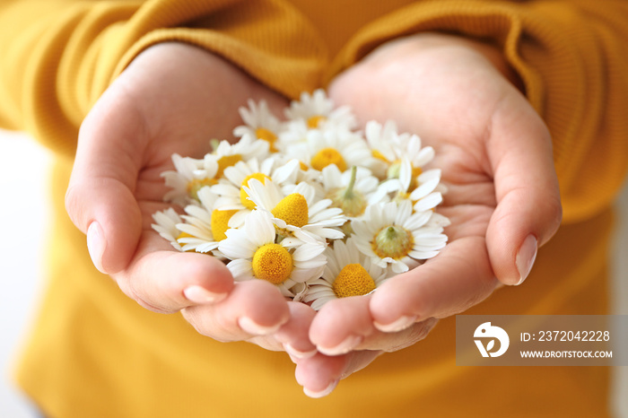 Young woman with chamomile flowers, closeup