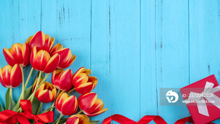 Tulip flower bunch, Mothers Day Design Concept - Beautiful Red, yellow bouquet isolated on blue woo