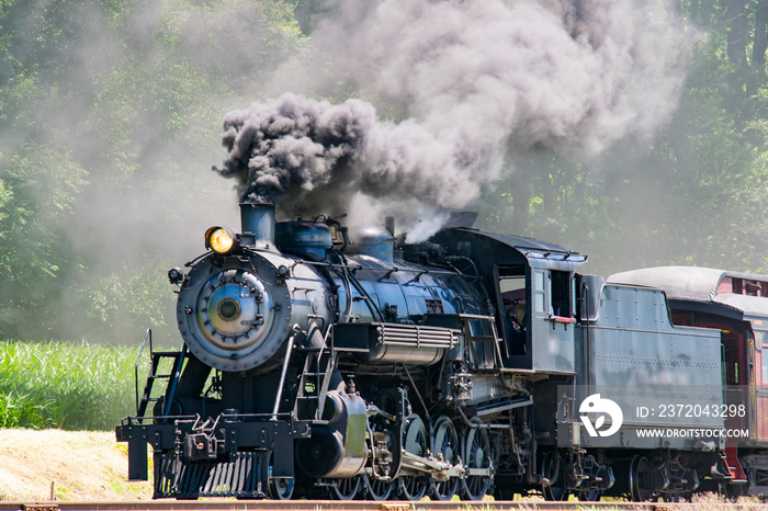 Steam Passenger Train Pulling into Picnic Area