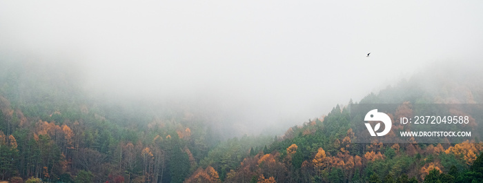 封面或横幅背景的风景：日本秋季早晨的雾和山。