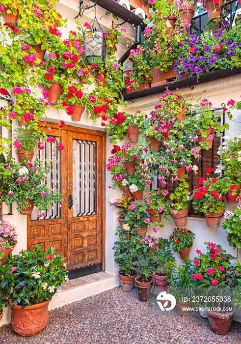 Nice patio with flowers and pond in Cordoba, Spain