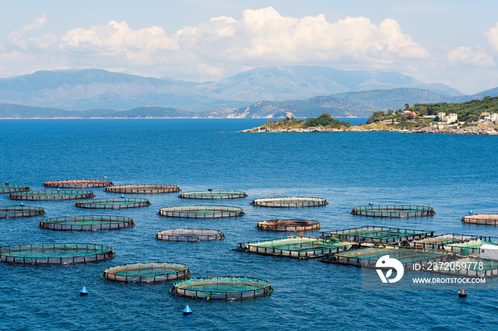 Fish farming near Kassiopi town. Corfu Island. Greece.