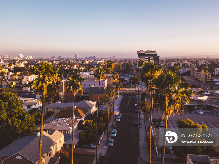 Beverly Hills street with palm trees at sunset in Los Angeles with Hollywood sign on the horizon.