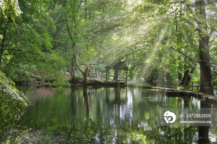 相信Wandergebiet an den Spiegelteichen in Malente，Holsteinische Schweiz，Schleswig Holstein，Deu