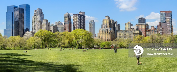 春天，从繁华的中央公园俯瞰纽约市标志性的、阳光明媚的天际线。