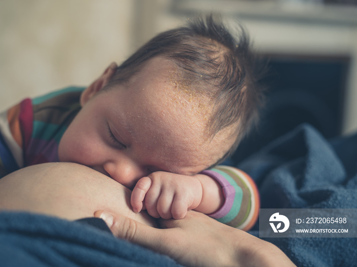 Sleeping baby at mothers breast