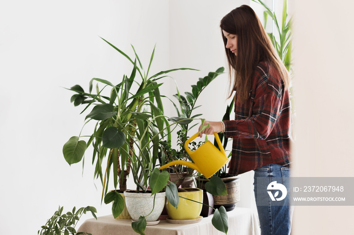 女人在家给植物浇水家里的植物