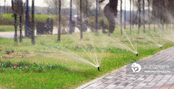 自动喷水灭火系统为公园草坪浇水。园艺和草坪护理理念。