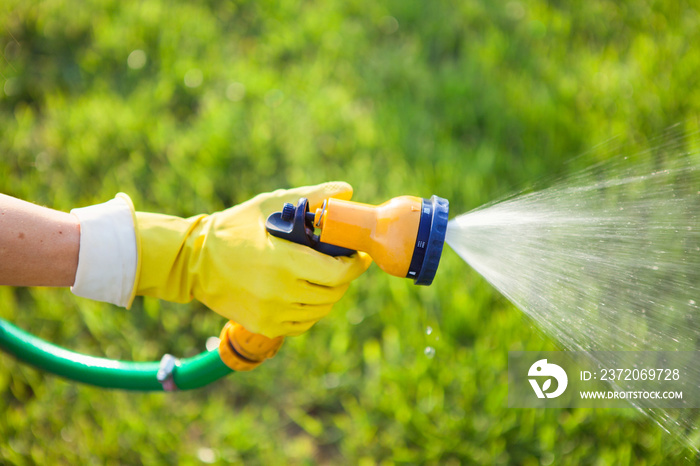 Hand with garden hose watering plants