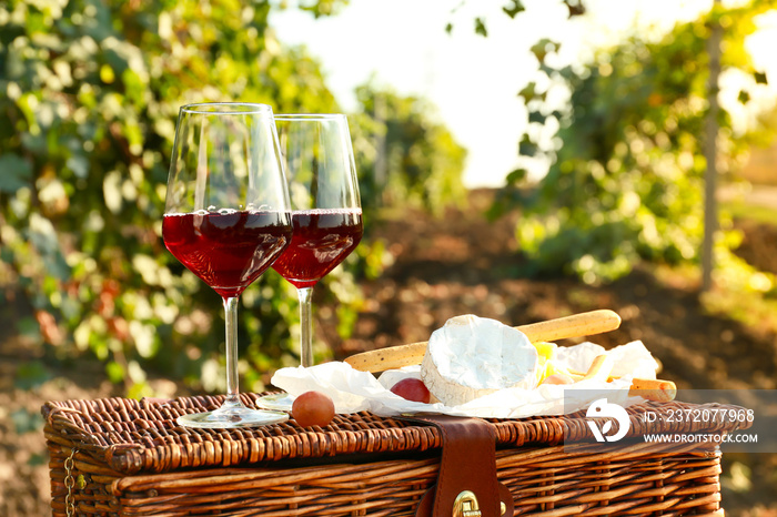 Glasses of tasty wine and snacks on picnic basket in vineyard