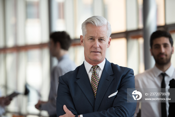 portrait of handsome senior business man at modern office