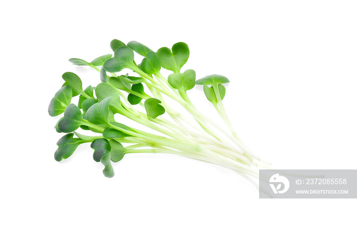 heap of alfalfa sprouts on white background