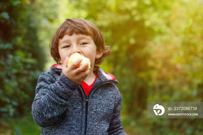 Kleiner Junge Kind Apfel essen Textfreiraum Garten draußen Herbst Natur