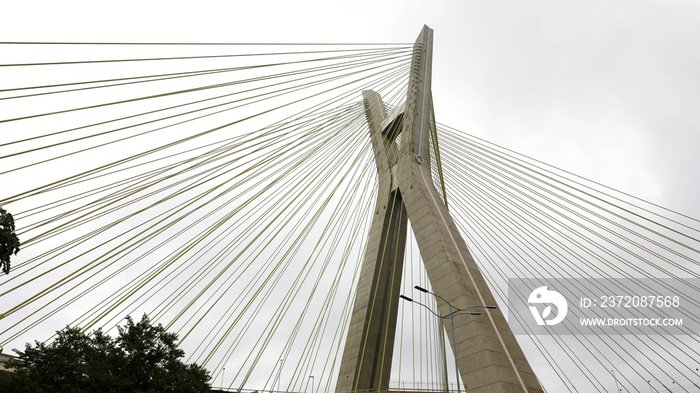 Sao Paulo city landmark Estaiada Bridge, Brazil