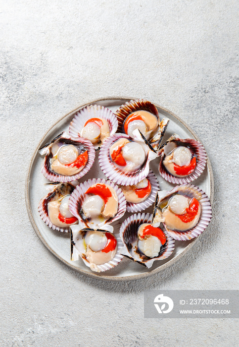 Seafood. Shellfish. Raw scallops with lemon and cilantro on gray plate , gray background