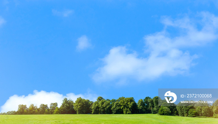 Fresh air and beautiful natural landscape of meadow with green tree in the sunny day for summer back