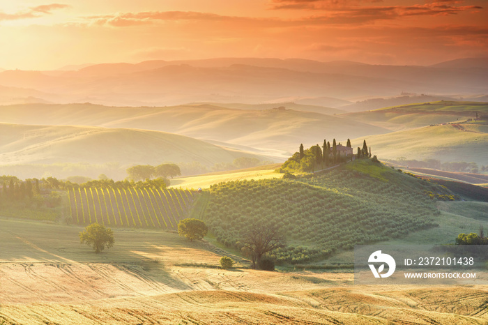 Beautiful tuscan landscape view in Val dOrcia region near Pienza town on the morning in Italy