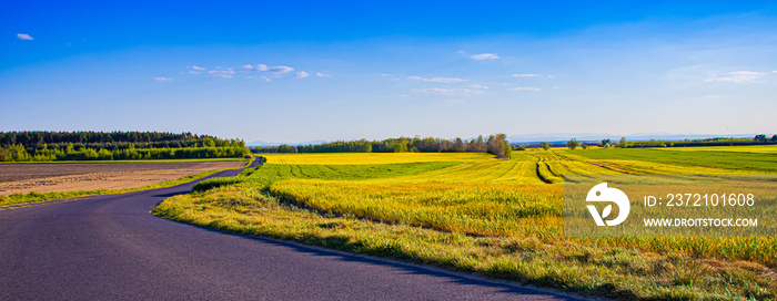 Rural landscape with yellow field and blue sky