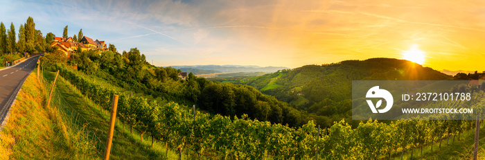 Landscape panorama of vineyard on an Austrian countryside with a church in the background in Kitzeck