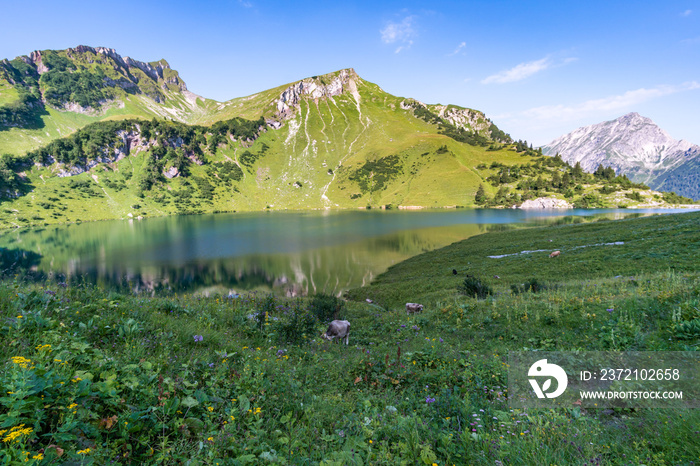 在美丽的坦恩海姆山谷徒步登山