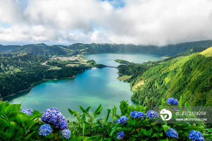 圣米格尔岛sete cidades火山口湖的景色，前面有绣球花。