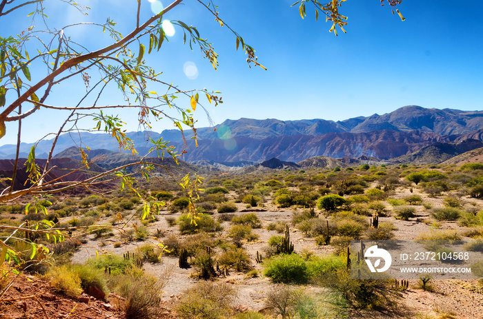 Tupiza, Bolivia Landscape