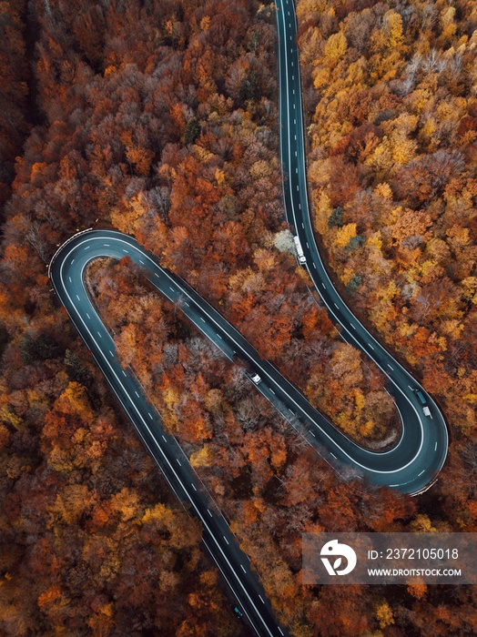穿越彩色秋色森林和山脉的乡村公路鸟瞰图