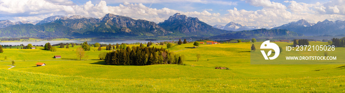 panoramic landscape with meadow and lake in front of alps mountains