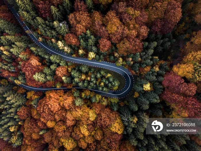 从美丽的秋季森林树叶中俯瞰。空旷的乡村弯曲道路的神奇景观，tr