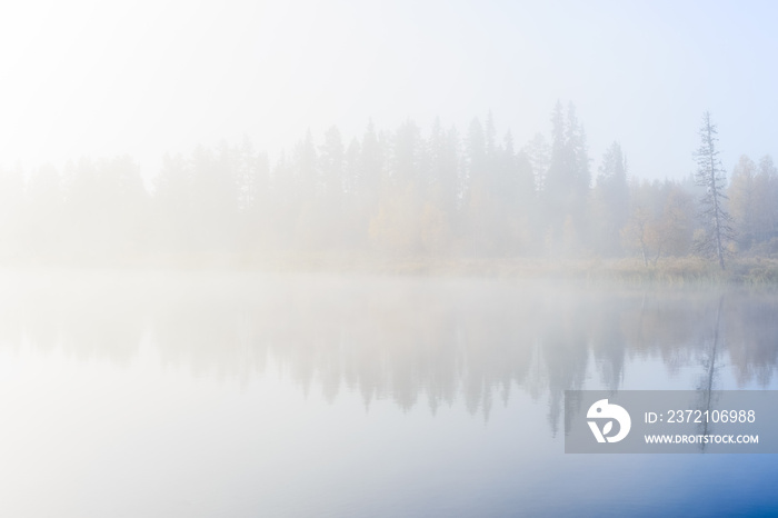 瑞典，薄雾笼罩的早晨，湖面上倒映着一棵树。