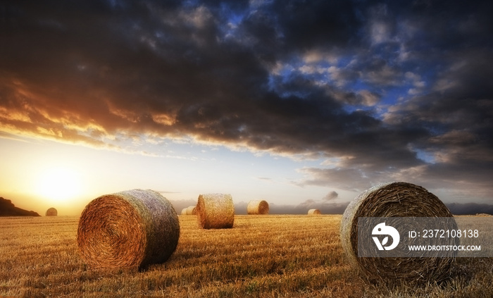 Beautiful golden hour hay bales sunset landscape