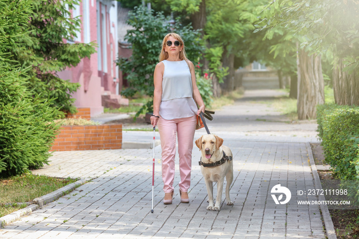 导盲犬在城市里帮助盲人妇女