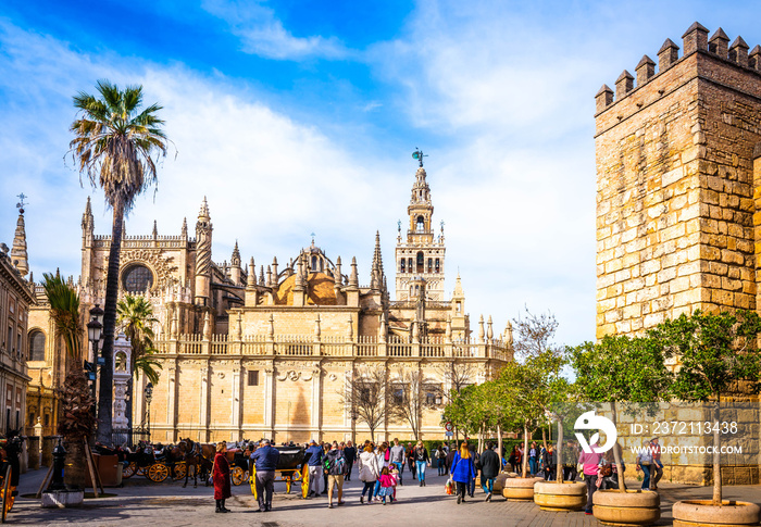 Cathédrale et la Giralda à Séville en Andalousie, Espagne