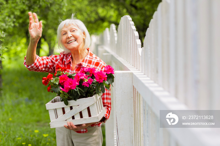 Beaming elderly lady waving to her neighbor standing near fence