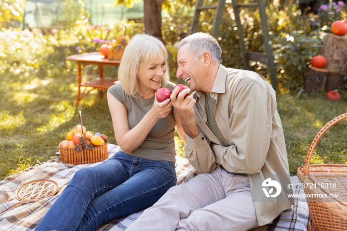 Positive senior couple sitting on field grass and enjoy eating apple, chatting and laughing, resting