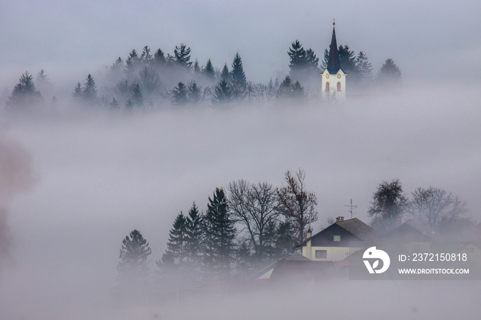 A foggy morning in a typically Slovenian landscape