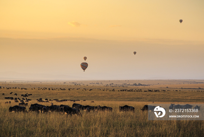 Balloons over the Masai Mara at Sunrise