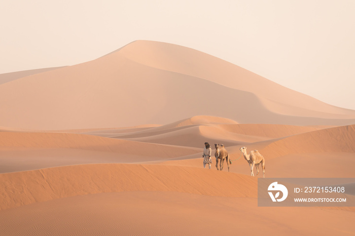 贝都因人和骆驼在穿越沙漠的路上游牧者在撒哈拉沙漠中带领一辆骆驼大篷车。