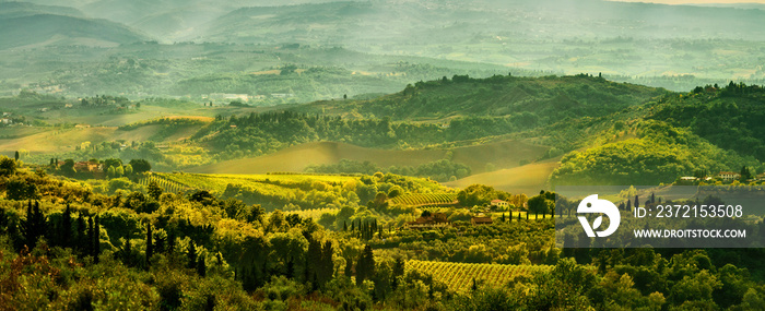 Fields in Tuscany