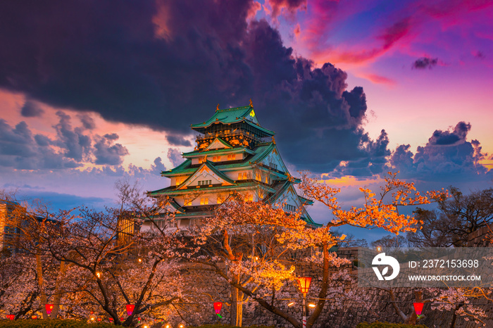 樱花在日本大阪城堡的夜晚绽放。
