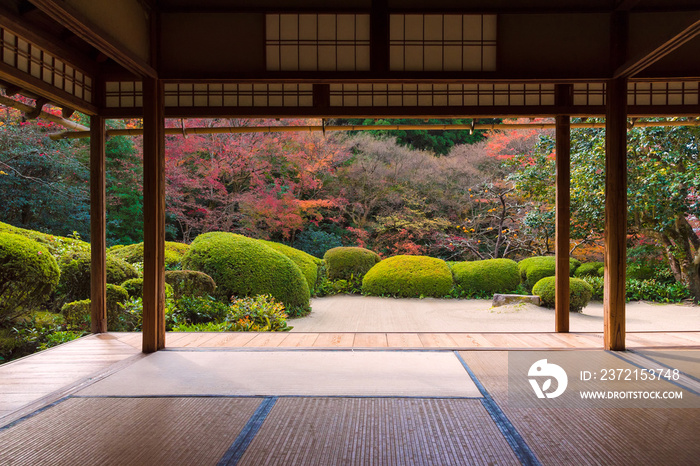 日本京都，秋天，日本禅宗花园里美丽的大自然五颜六色的树叶。