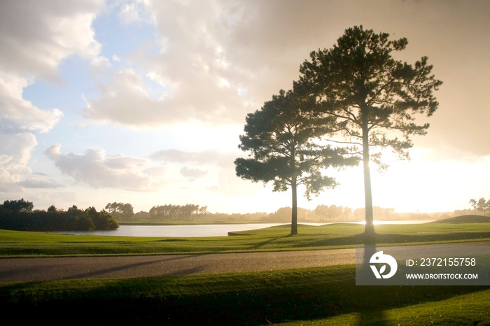 South Carolina nature background.  Southern landscape with sunset over the golf court. South Carolin