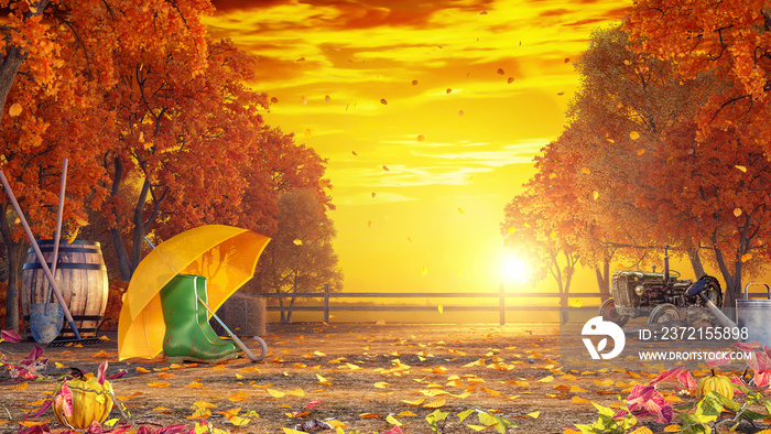 日落时的秋天彩色背景3D渲染