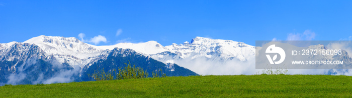 雪山绿草地