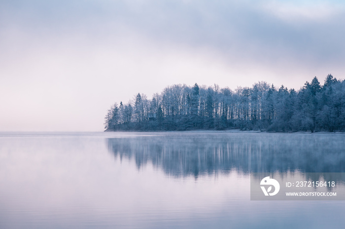 斯洛文尼亚博欣杰湖上空的全景晨雾。概念冬季景观。