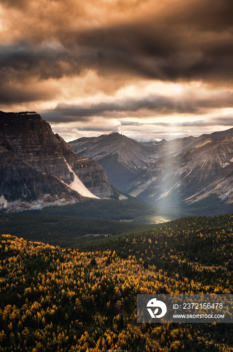 Sunbeam shining on rocky mountains in autumn forest at Banff national park